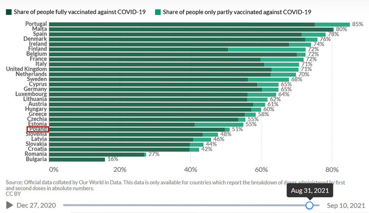 Szczepienia przeciw COVID-19 w UE i Wielkiej Brytanii. 31.08 2021 r.