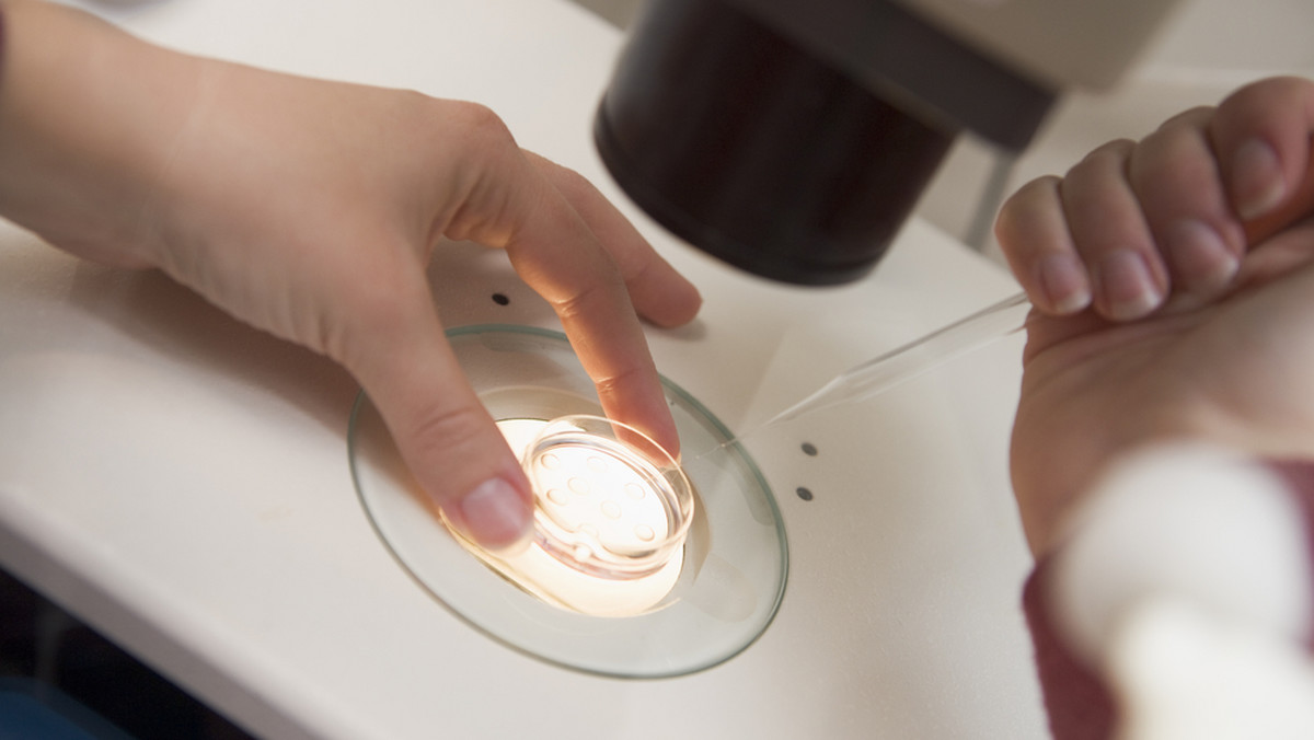 Stosowanie do in vitro zamrożonych komórek jajowych zmniejsza szanse na urodzenie żywego dziecka w porównaniu ze świeżo pobranymi - informuje pismo JAMA.