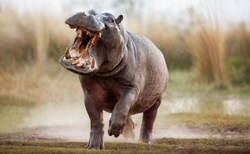 Miał być chłopiec jest dziewczynka. Prawda wyszła na jaw po 7 latach