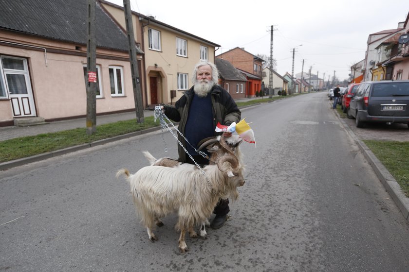 Moje kozy wygrały z tirami