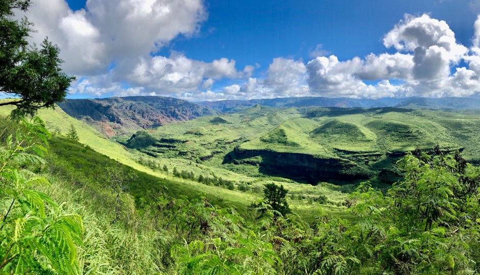 W Parku Stanowym Kōkeʻe