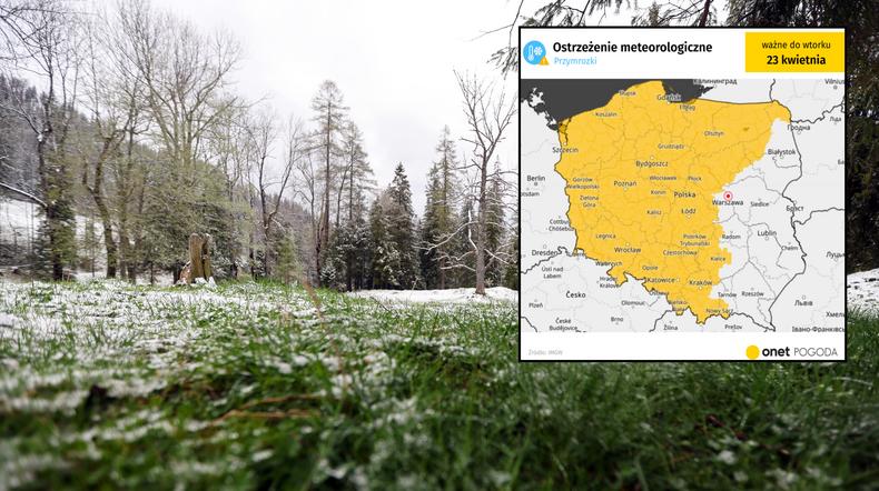 Wielkie zimno nad Polską. IMGW alarmuje, a na zmiany nie ma szans (mapa: IMGW)
