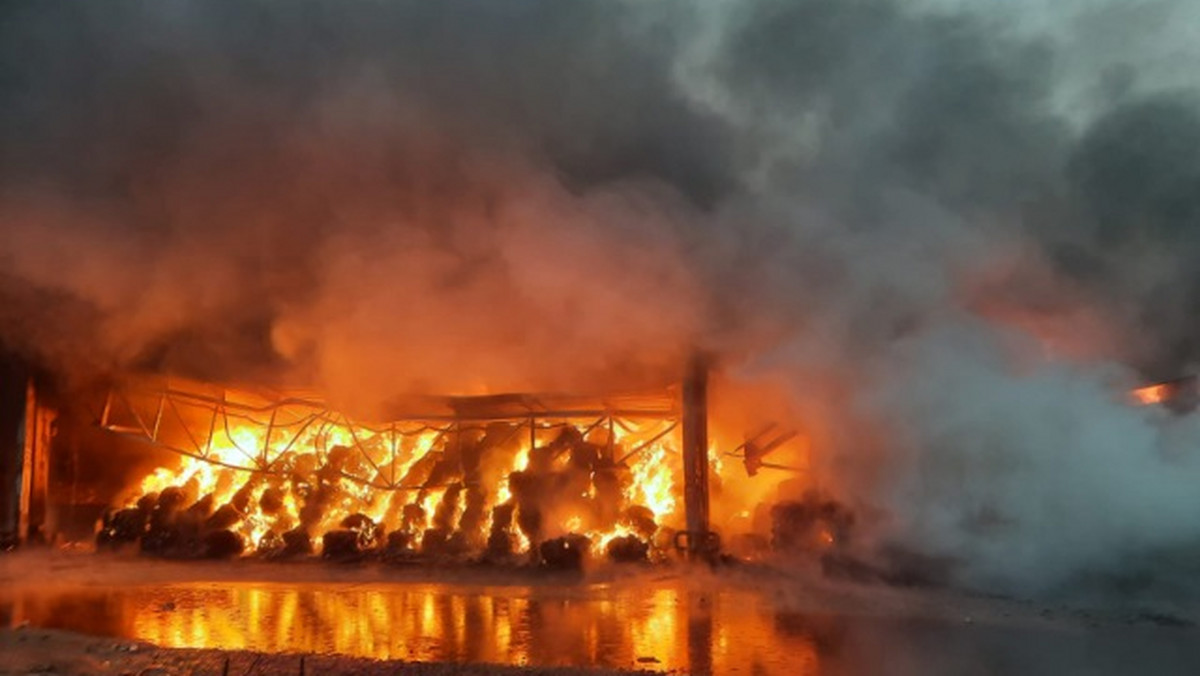 Pożar w Składowisku Odpadów Komunalnych w Promniku
