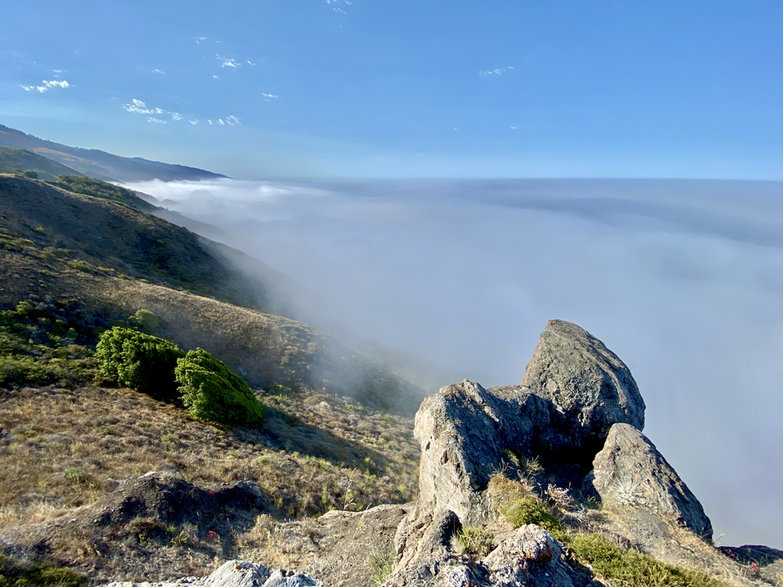 Pokryte mgłami wybrzeże Big Sur