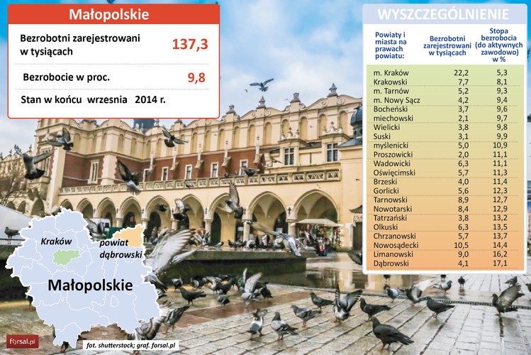 Liderem pod względem niskiego bezrobocia w tym regionie pozostaje oczywiście Kraków (5,3 proc.) i powiat krakowski (8,1 proc.). Ze względu na olbrzymie zaplecze akademicko-naukowe, międzynarodowe koncerny coraz częściej wybierają Kraków jako siedzibę swoich centrów usług. Rozwijają się tu centra finansowo-księgowe, IT i ośrodki badawczo-rozwojowe firm. W Krakowie zainwestowali m.in. Shell, Google, IBM Software, Delphi czy Electolux. 80 globalnych korporacji zatrudnia w swoich centrach usług już w sumie ok. 30 tysięcy osób. Według szacunków organizacji ASPIRE, w całym 2014 pracę znajdzie tu kolejne  3 tys. osób.
<br>Stosunkowo niskie bezrobocie panuje też w Tarnowie i Nowym Sączu – odpowiednio 9,3 i 9,4 proc. oraz w powiecie bocheńskim (9,6 proc.).  W Bochni znajduje się najstarszy zakład przemysłowy w Europie - kopalnia soli. Kopalnia działała nieprzerwanie przez 742 lata – od 1248 roku do 1990 roku.
<br>Na drugim końcu rankingu bezrobocia w województwie małopolskim plasuje się powiat limanowski (16,2 proc.) i dąbrowski (17,1 proc.).