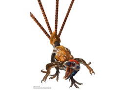 Upierzony dinozaur żył jak wiewiórka