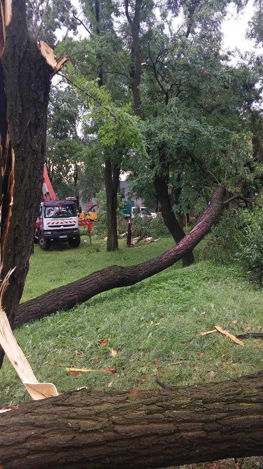 Zniszczenia po nawałnicy w Rybniku