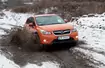 Subaru XV: modny i wygodny