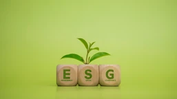 raportowanie esg dla wielu firm o dwa lata później