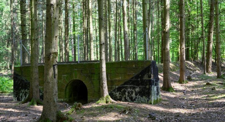 The 1930s era project has been swallowed up in the Bavarian forest