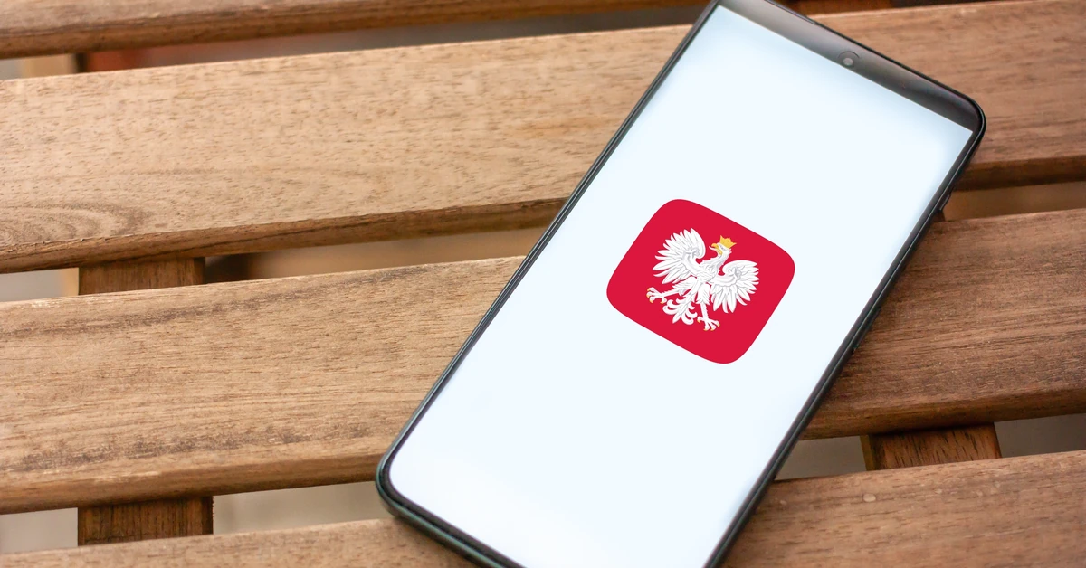 Emerytura w Twoim telefonie. ZUS i mObywatel pokażą stan konta. Nowa usługa rusza od 2026 roku