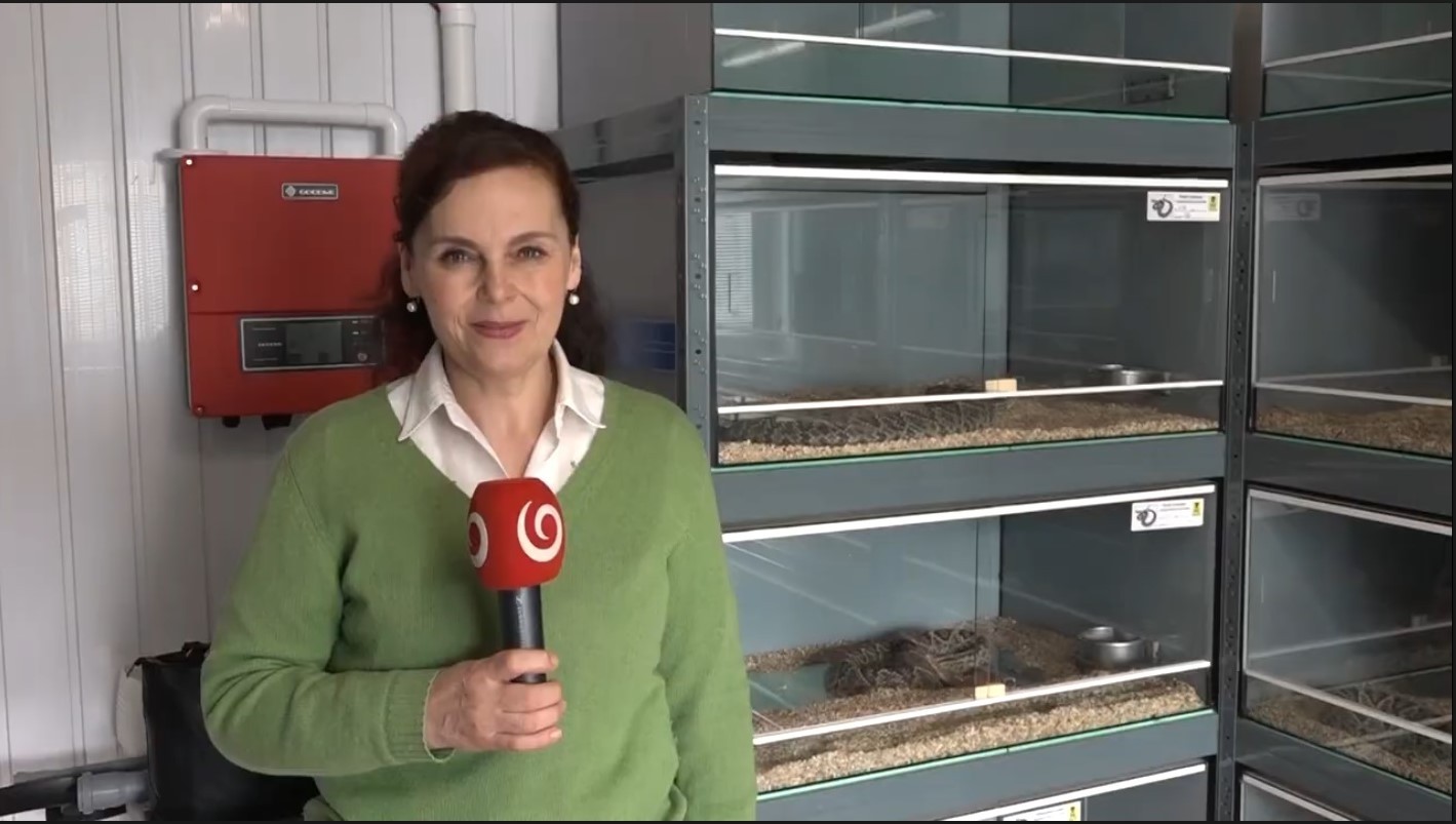 Rusľana Kurilcová mala kuriózne reportáže.