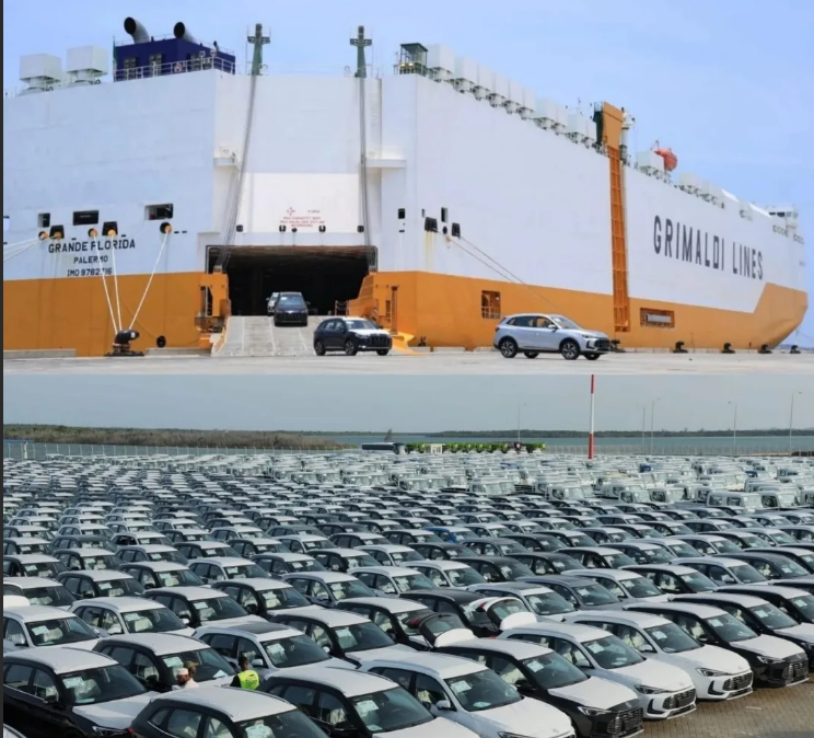 Screenshot 2026-03-19 204334