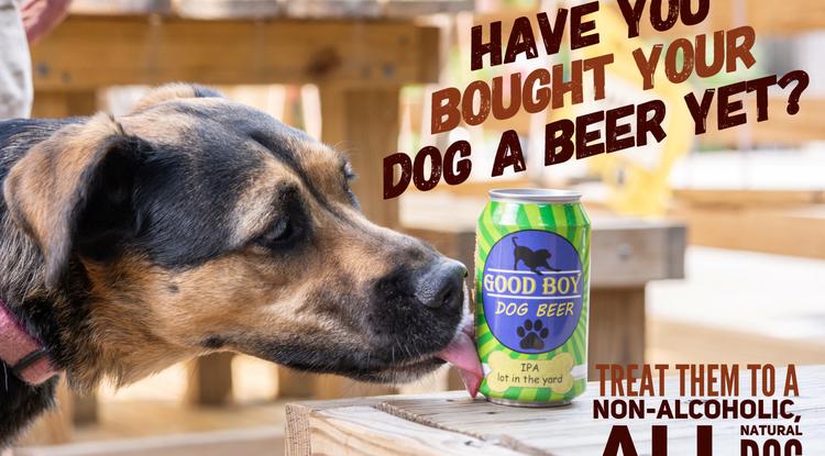 HIHETETLEN! Már a kutyáknak is létezik sör