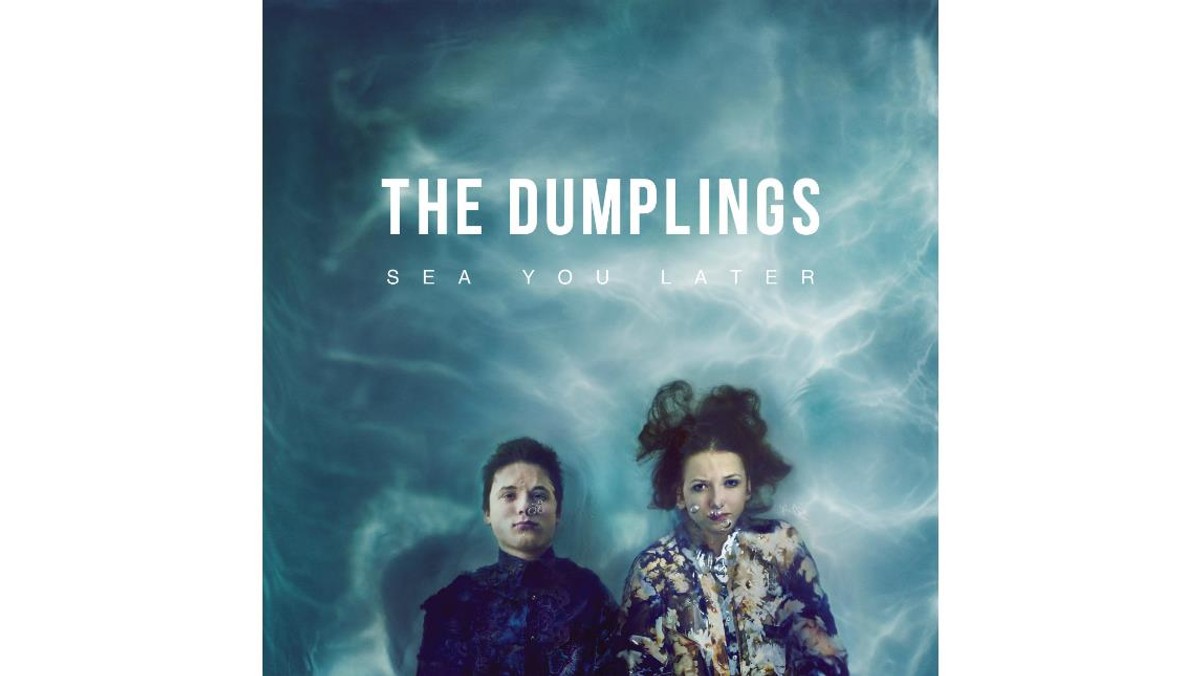 the dumplings