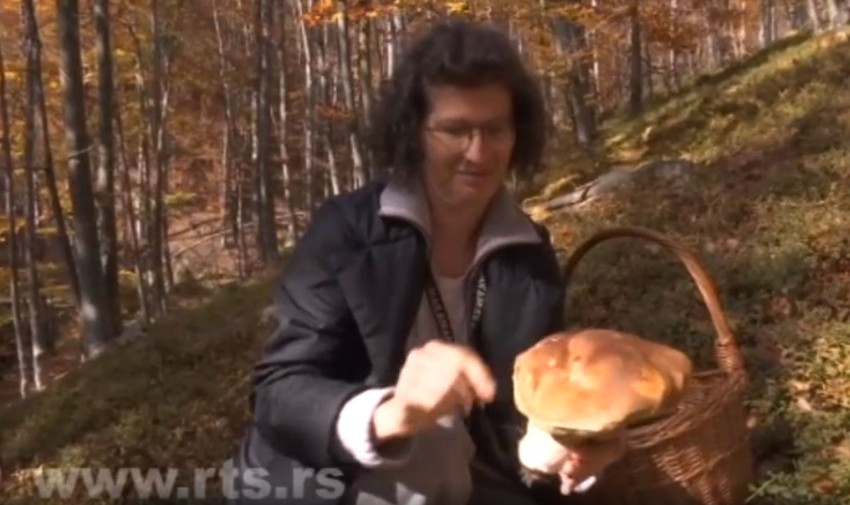 Milka Adžić Dragojević