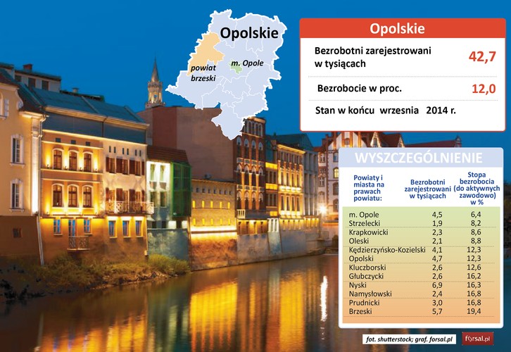 W rankingu najniższego bezrobocia w województwie opolskim prym wiedzie stolica regionu – Opole. Stopa bezrobocia wynosi tu 6,4 proc. W Opolu swoje zakłady mają firmy z branży przetwórstwa spożywczego, takie jak Nutricia należąca do grupy Danone, Zott czy Animex, będący częścią koncernu Smithfield Foods, a także przedsiębiorstwa z sektora elektromaszynowego: Remak S.A., GEA Technika Cieplna, czy Tower Automotive Polska. Rozwija się też tu przemysł budowalny i cementowy. Duży wpływ na tutejszy rynek pracy będzie też mieć rozbudowa elektrowni Opole. To największa inwestycja przemysłowa w Polsce po 1989 roku. Warte 11,6 mld zł przedsięwzięcie ma wygenerować w sumie nawet 4 tys. miejsc pracy. Dzięki inwestycji pracę i szanse na zyski będzie miało ok. 350 polskich dostawców. 
<br>Niskie bezrobocie panuje też w powiecie strzeleckim (8,2 proc.). Funkcjonują tu takie firmy, jak Izostal S.A., Intersilesia Sp. z o.o. czy Kleinmann Wyroby Metalowe Sp. z o.o. 
<br>Najwyższą stopę bezrobocia notuje się w powiecie brzeskim (19,4 proc.). Dzięki współpracy z dolnośląskimi agencjami pośrednictwa pracy, sytuacja na tutejszym rynku pracy wyraźnie się jednak poprawiła. W ubiegłym roku stopa bezrobocia przekraczała tu bowiem 24 proc. Jak informuje Radio Opole, brzeski rynek pracy skorzystał m.in. z otwarcia centrum dystrybucyjnego Amazona pod Wrocławiem oraz ofert pracy z Jelcza-Laskowic.