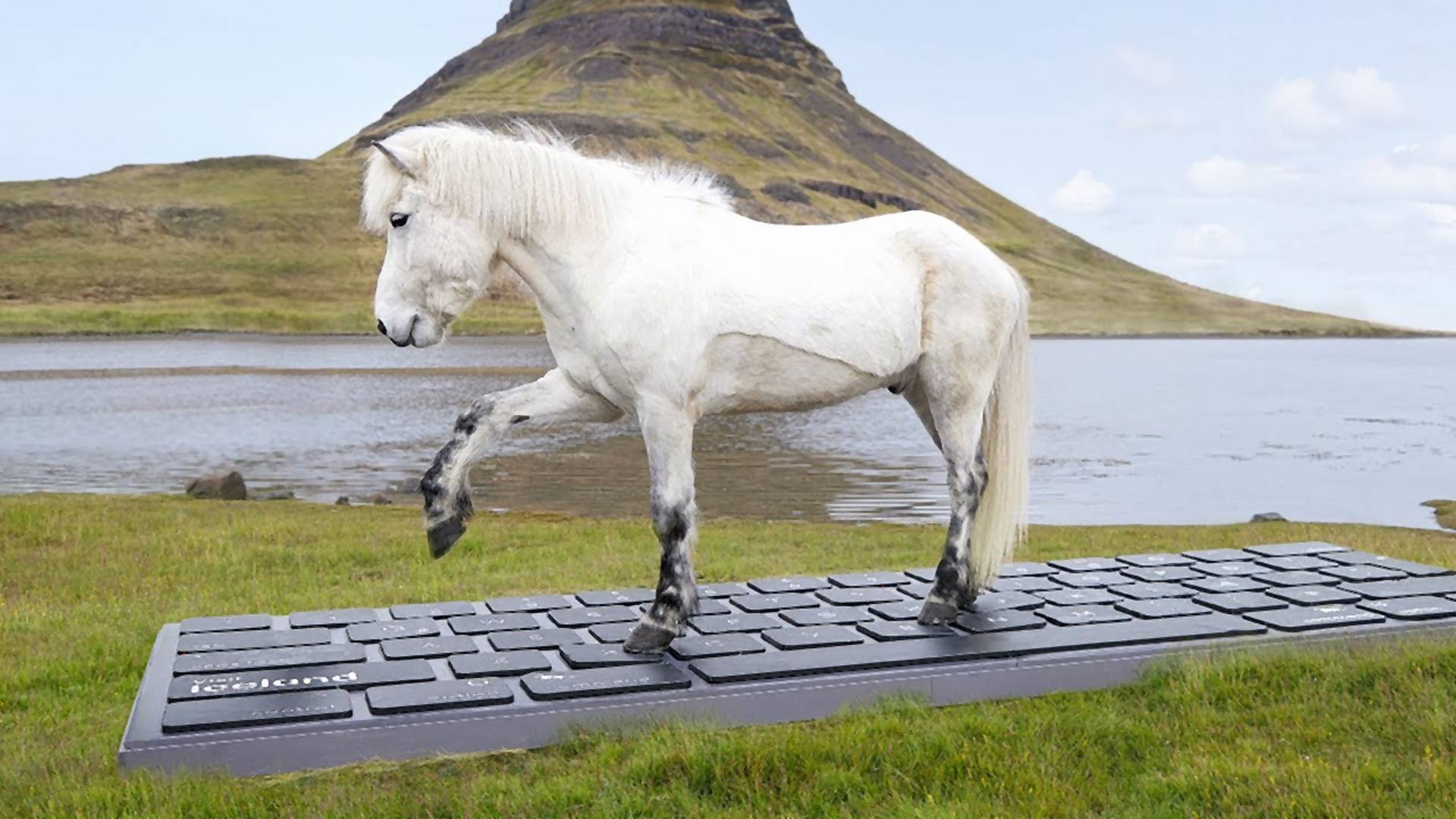 Konie z Islandii wyślą za ciebie e-maila na urlopie. Szef się nie zorientuje