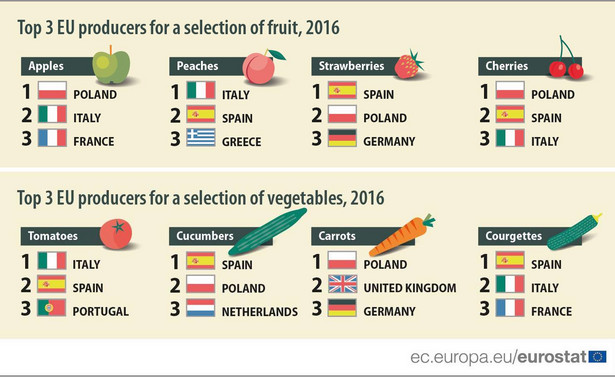 Najwięksi producenci owoców i warzyw w UE, źródło: Eurostat