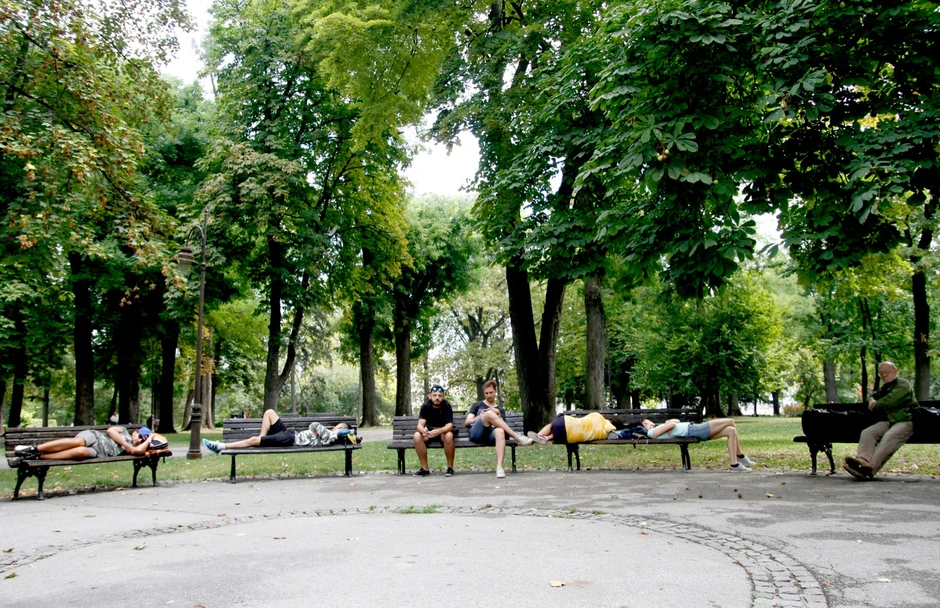 Spas u debeloj hladovini