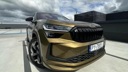 ma silnik 2.0 i spala 5,3 l na 100 km. skoda trzęsie rynkiem. cena hitem