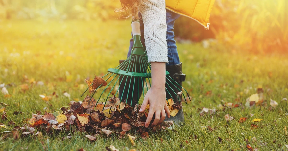 Nawet 5 tys. kary za jesienne porządki w ogrodzie. Na to trzeba uważać
