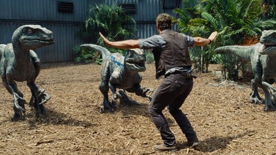 Welociraptory dinozaury Chris Pratt Jurassic World