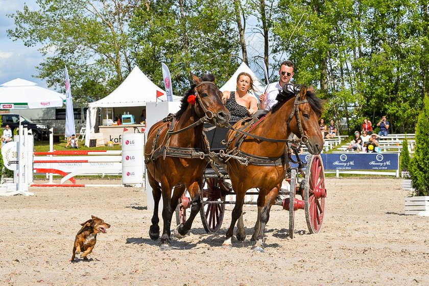 Plejada gwiazd na Gałkowo Masters 2019