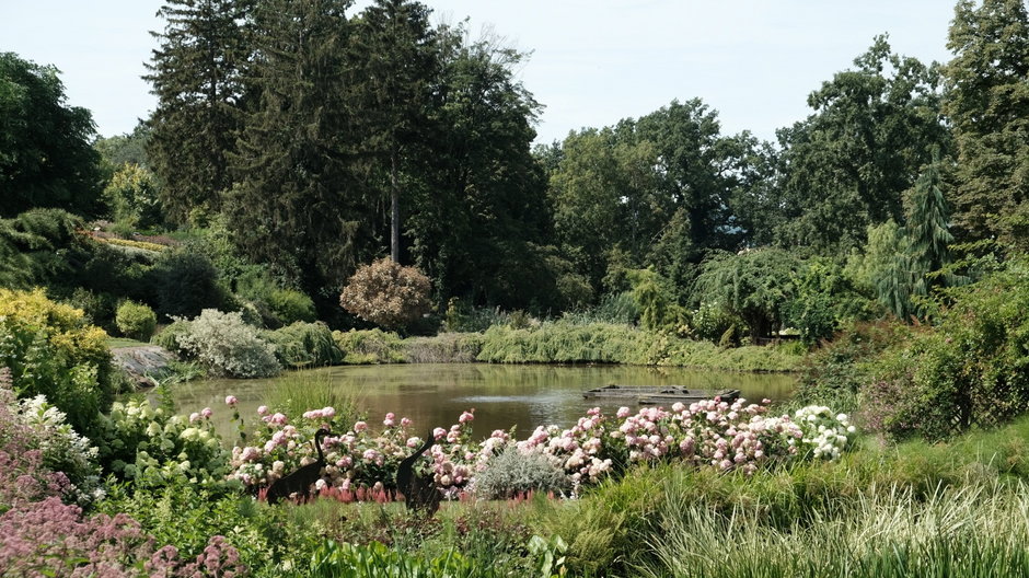 Arboretum w Wojsławicach