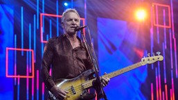 tvp ogłasza kolejne, zagraniczne gwiazdy sylwestra. ich piosenki znają