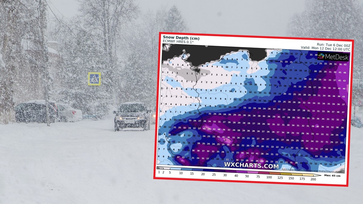 Śnieżyce wkrótce zaatakują Polskę? Nadchodzi atak siarczystej zimy