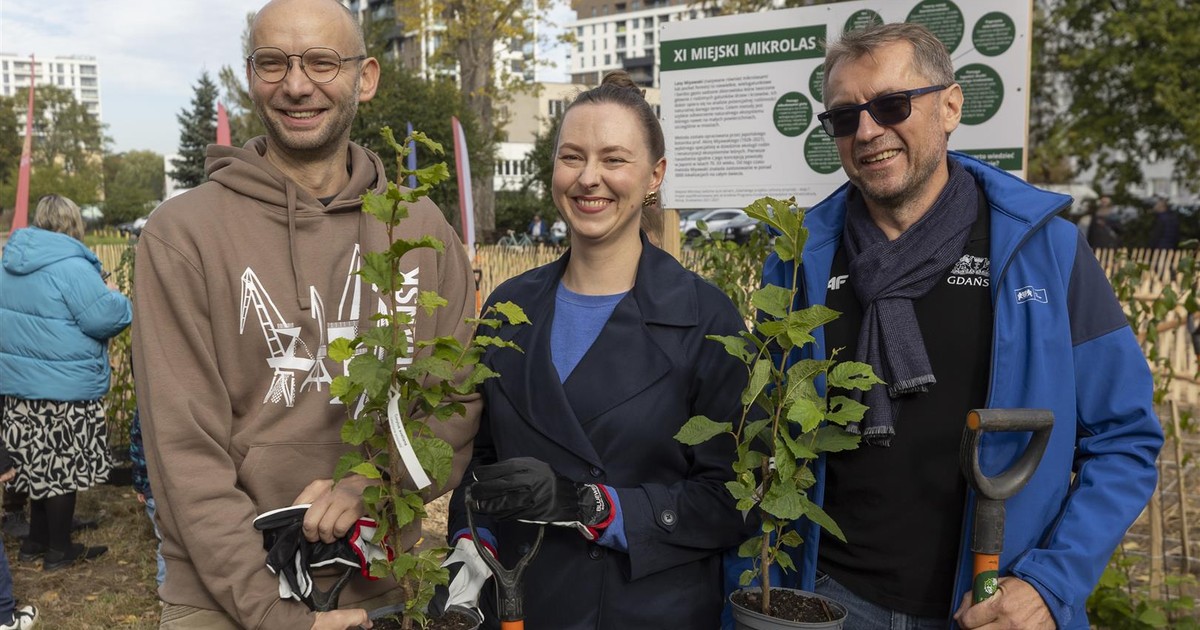 Antykwariat wraca na ul. św. Jana w Krakowie. Książki i mapy znów czekają na czytelników
