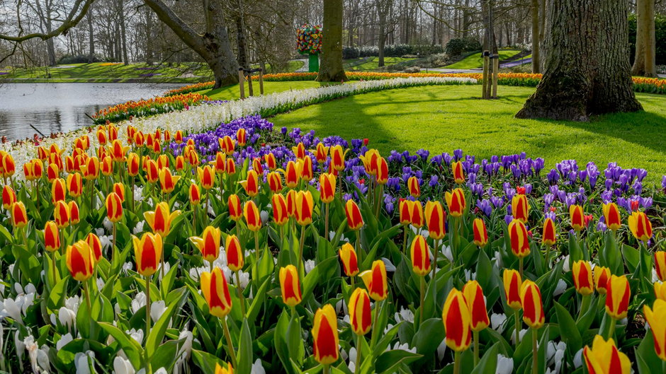 Park kwiatów Keukenhof, Holandia