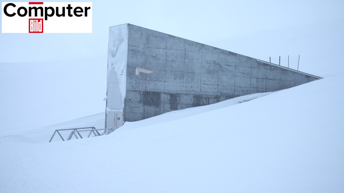 Nemsokára világvége-bunker épül a Holdon? Lehet, hogy nem lesz más választás