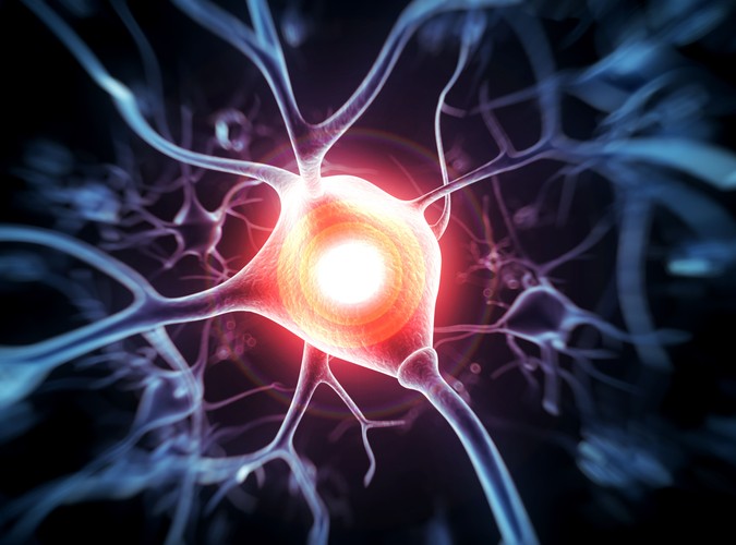 Tajemnice ludzkiego ciała