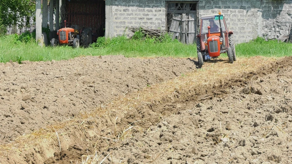 Marija Seočanac iz Novog Sela kod Kraljeva