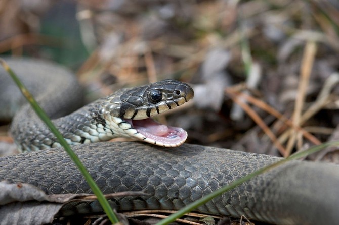 Gledajte kuda hodate i nosite duboku obuÄu