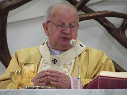 Kardynał Dziwisz: Polski Kościół nie ma politycznych ambicji