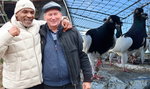 Hodowca gołębi o spotkaniu z Mikiem Tysonem: po jego wizycie rozpętała się burza