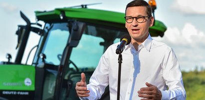 Morawiecki: Niech Niemcy sobie sami zbierają szparagi