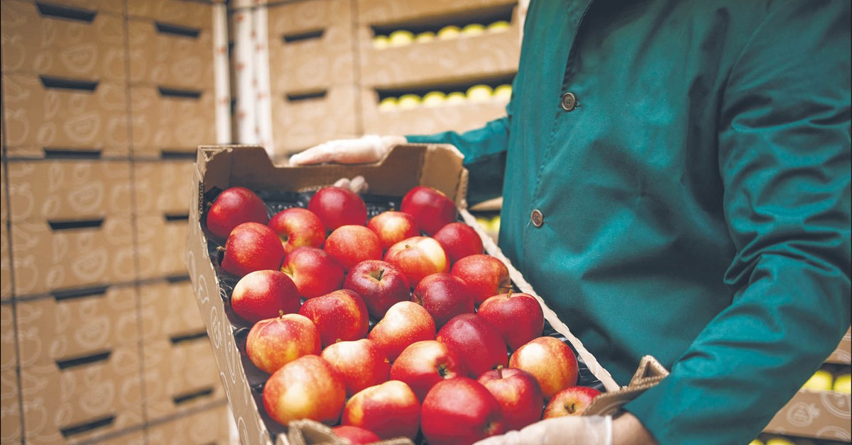 Polska idzie na kolejny rekord. Świat kupuje od nas coraz więcej żywności