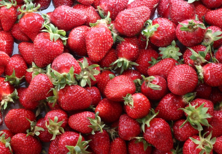 It turns out that this year’s strawber