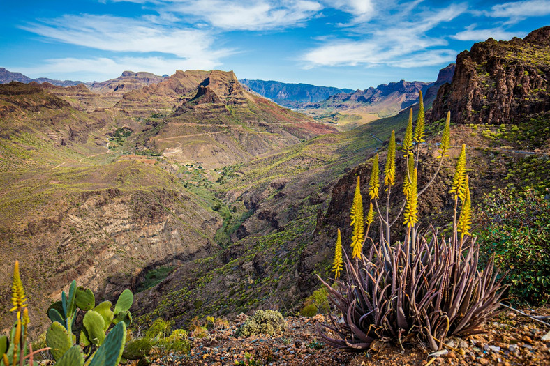 Gran Canaria, Dolina Degollada de Las Yeguas
