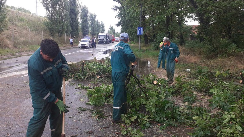 Radnici Zelenila saniraju štetu