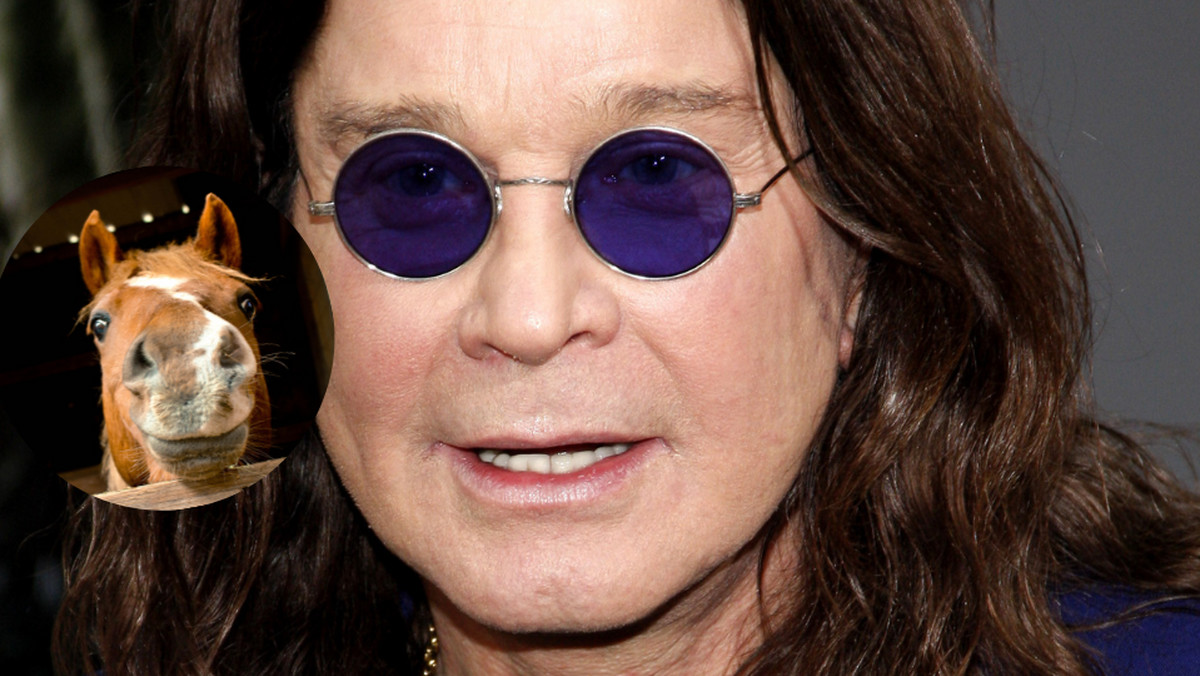 Ozzy Osbourne opowiedział o rezygnacji z LSD. "Przez godzinę gadałem z koniem"