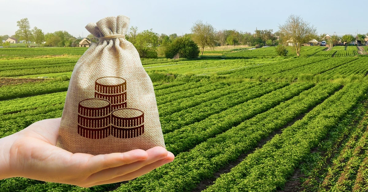 Zaliczki dopłat bezpośrednich 2025. Którzy rolnicy dostaną pieniądze pierwsi?