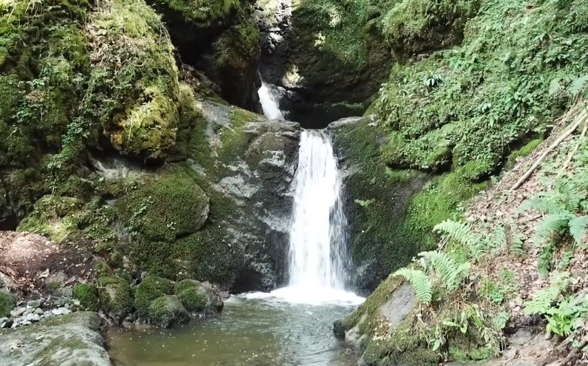 Posećuju ga i stranci