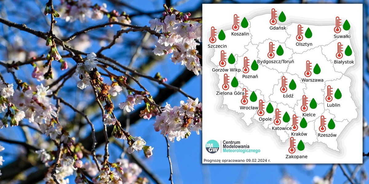 Co prognozują synoptycy? Co wyliczają modele pogodowe? 