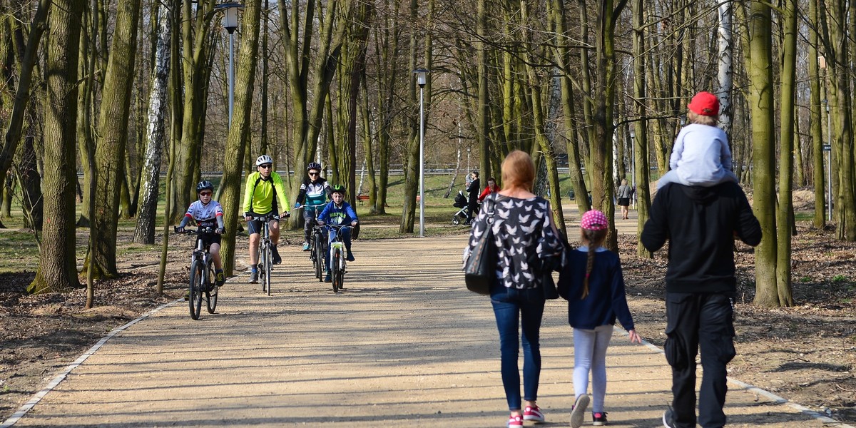 Członkowie rządu twierdzą, że program 500 plus będzie kontynuowany w obecnej formule, a zmiany są niepotrzebne. W ten sposób odnoszą się do informacji medialnych na ten temat