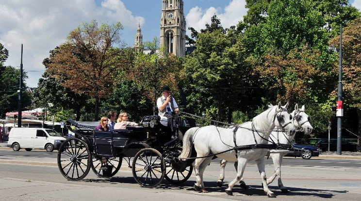 A tematikus lovaskocsikázást több téma köré szervezték